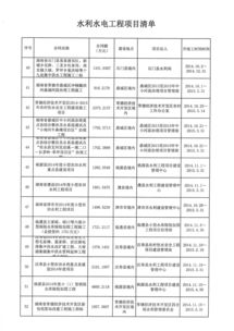 湖南正平招標(biāo)代理公司 專業(yè)工程招投標(biāo)代理服務(wù)的領(lǐng)航者